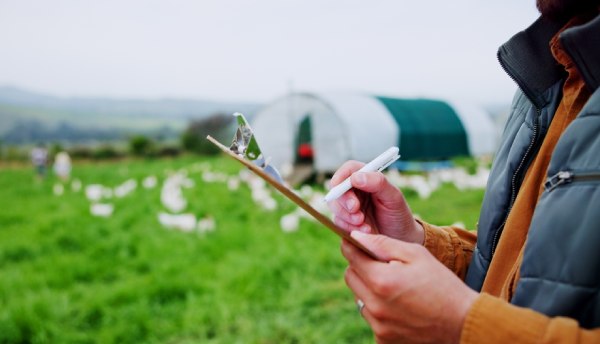 Key Reports For Poultry Farmer
