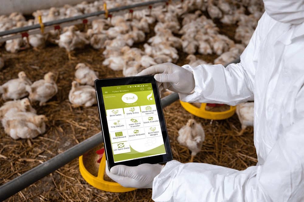 Poultry Management software | Leading Poultry Management Solutions ...